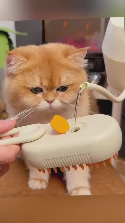 Steam Grooming Brush for Pets